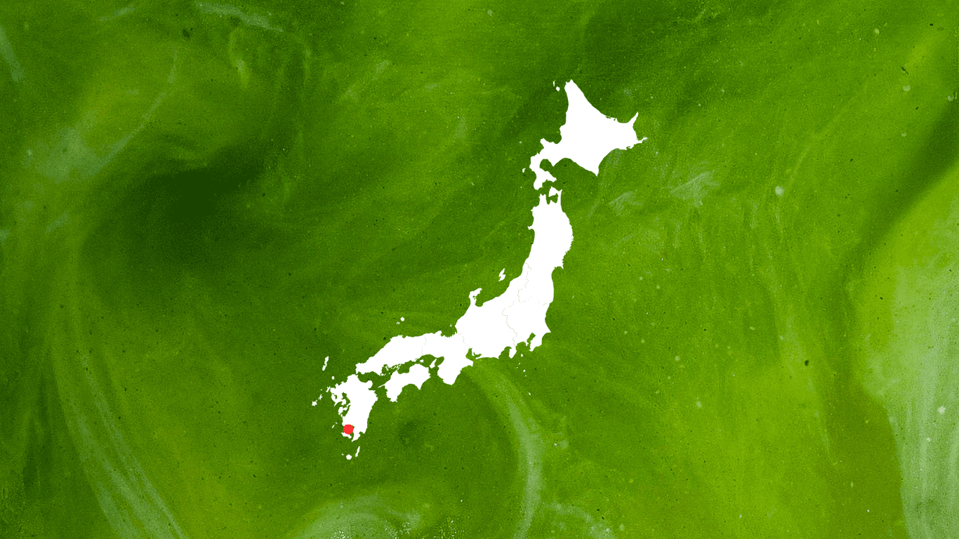 Japan silhouette on matcha green swirl background